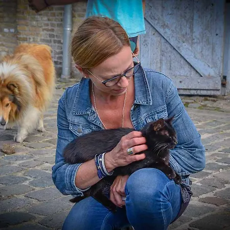 T'ooievaarsnest * Alveringem