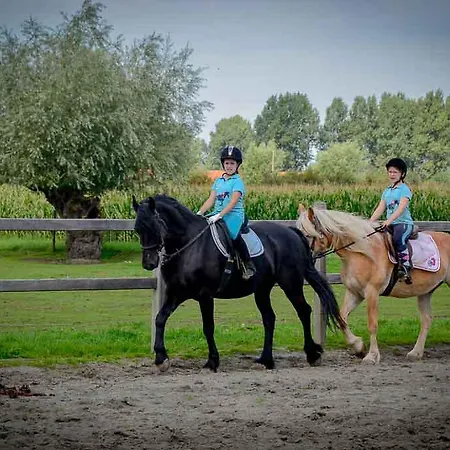 Semesterbostad T'ooievaarsnest