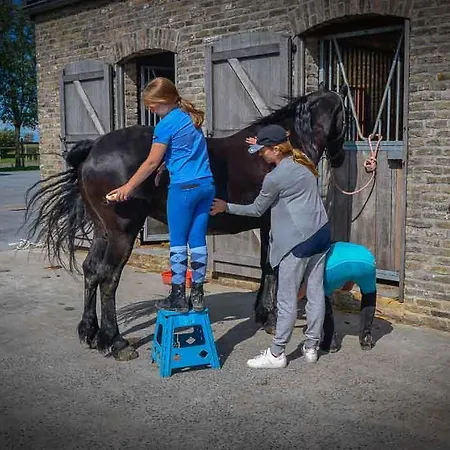 Semesterbostad T'ooievaarsnest Alveringem