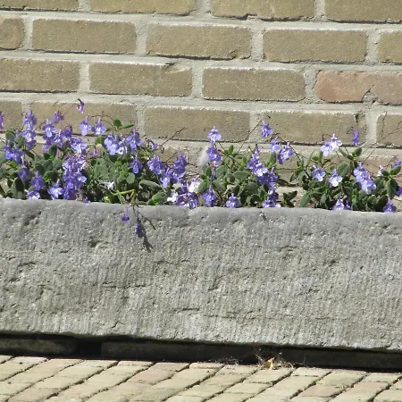 T'ooievaarsnest * Alveringem